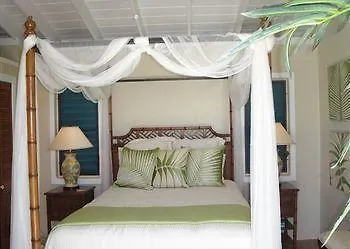 Magic View Villa Cruz Bay